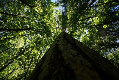 Прикрепленное изображение: A58DSC08639.jpg